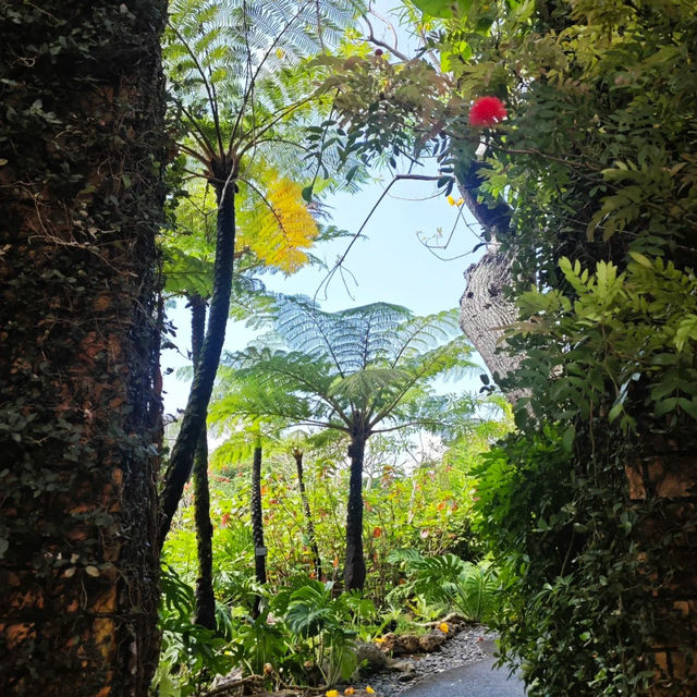 「萬葉植物園：豐富多彩的自然畫捲」