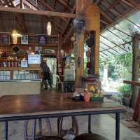 ร้านบ้านชาในป่าฝน Tea House in Rainforest