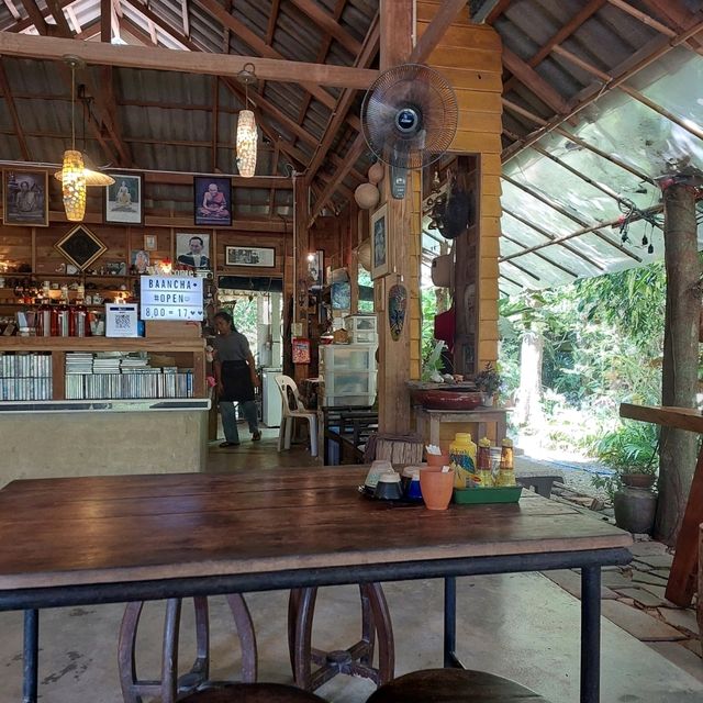 ร้านบ้านชาในป่าฝน Tea House in Rainforest