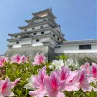 【佐賀観光】唐津城の藤の花を愛でに。。。