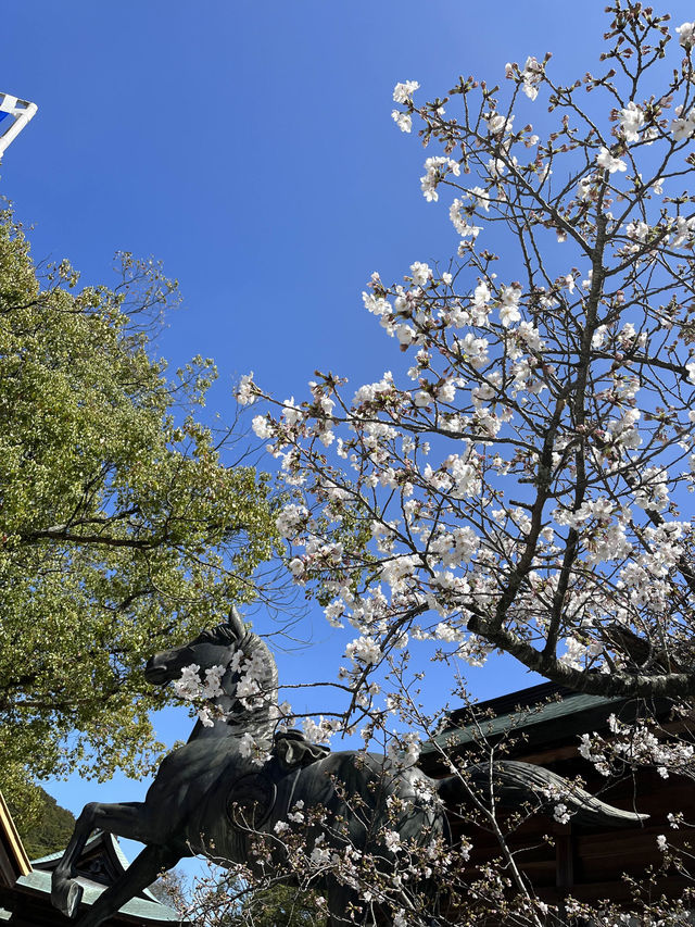 【福岡神社】日本一の大縄のある神社⛩光の道も有名なところです✨