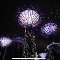 【必看景點】新加坡濱海灣花園：雲霧森林、花穹、擎天樹空中步道