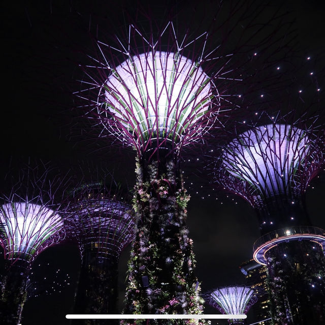 【必看景點】新加坡濱海灣花園：雲霧森林、花穹、擎天樹空中步道