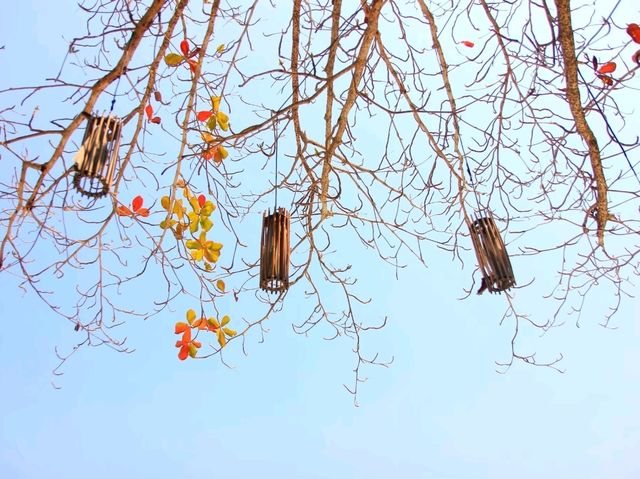 เที่ยวเกาะเสม็ด