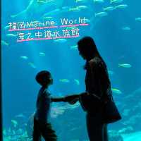 【 福岡之旅。以九州之海為主題的水族館 】 