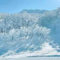北海道札幌滑雪場：亞洲最頂尖滑雪勝地，北國雪地之美