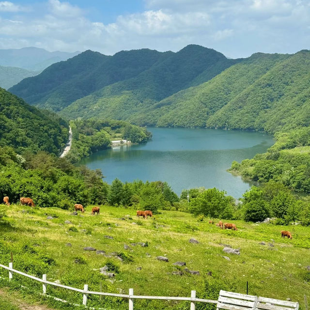 「春天好去處2024：福壽山農場，感受大自然生機」