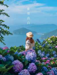 【香川】6月に行きたい！天空の紫陽花が美しすぎるスポット！