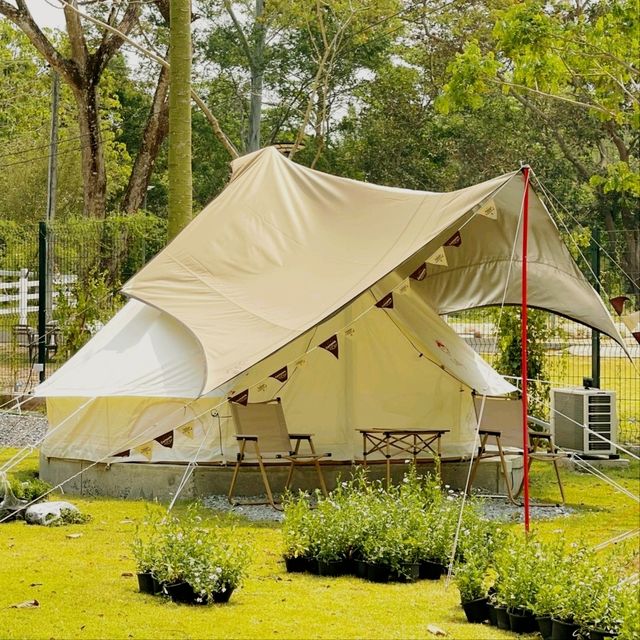 It my life cafe X camp