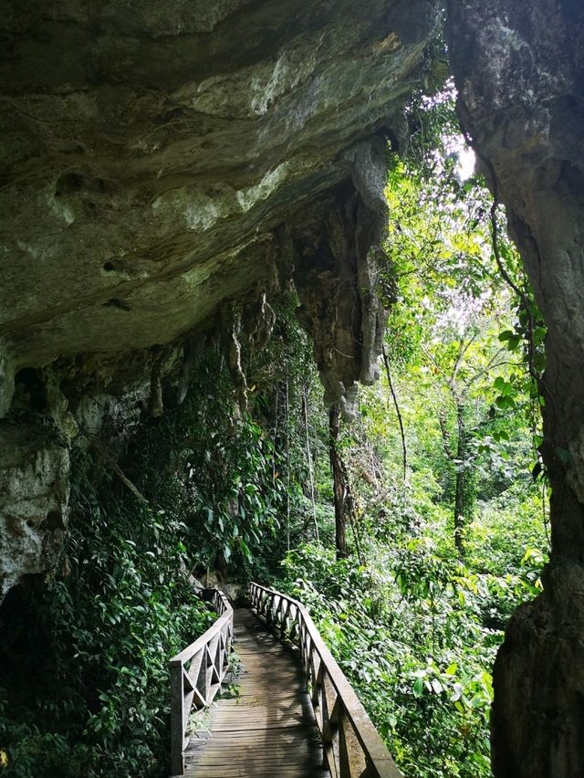 Niah National Park