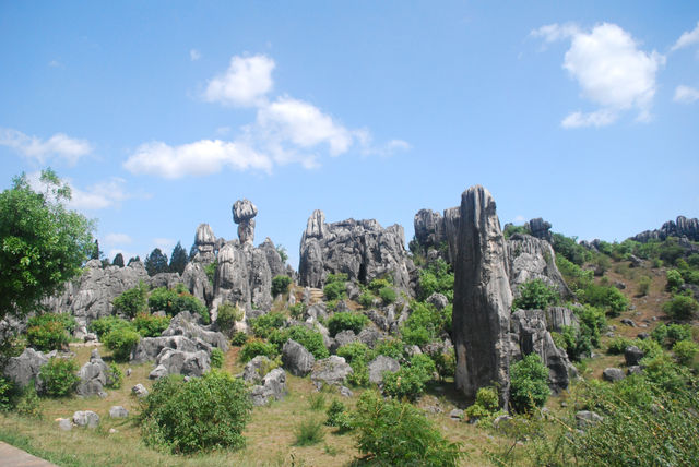 Stone Forest, The Wonder under the Heaven
