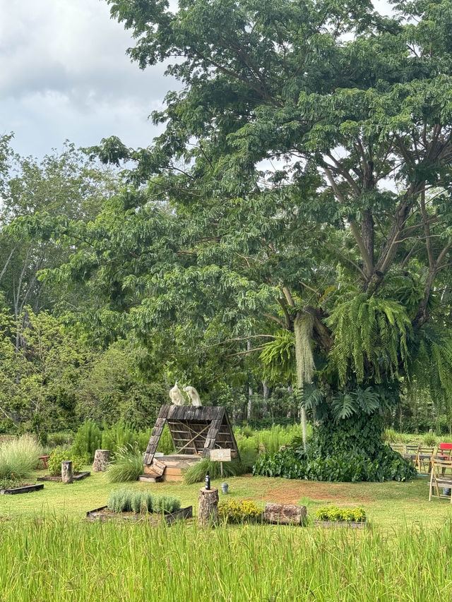 คาเฟ่ระยอง โอบบ์🌱ฟาร์ม&คาเฟ่