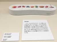 【チョコレートを愛する方へ】世界のチョコやカカオに関する展示