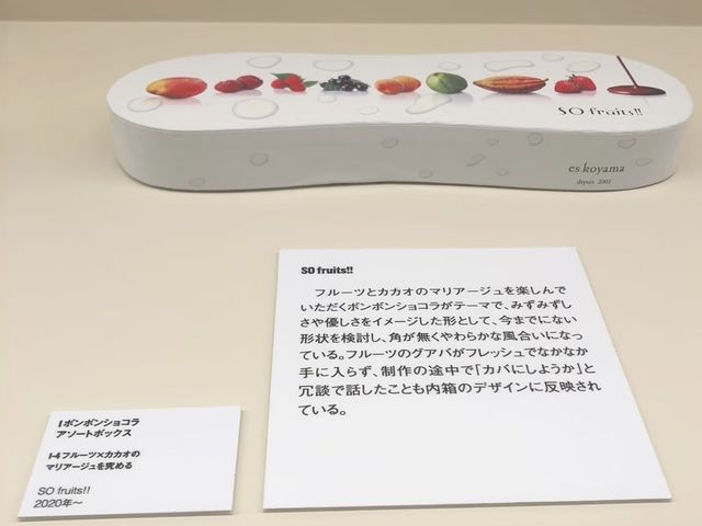 【チョコレートを愛する方へ】世界のチョコやカカオに関する展示