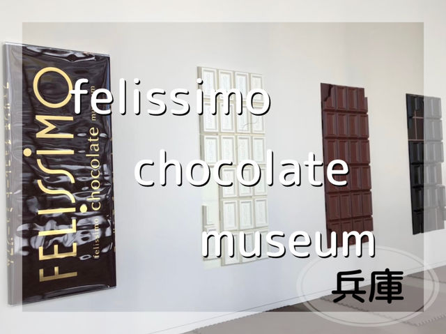 【チョコレートを愛する方へ】世界のチョコやカカオに関する展示