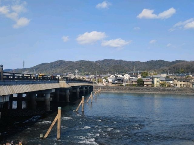 One day tri in Uji