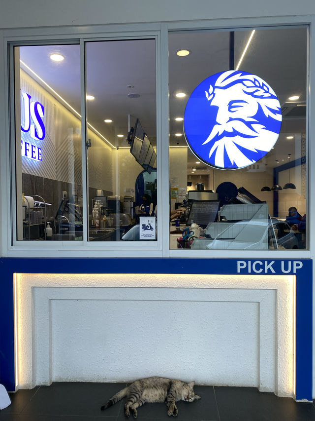 Definitely a must stop-by if passing by!