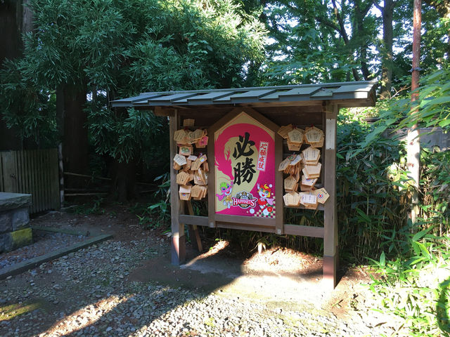 靈性與美景的融合：探索彌高神社