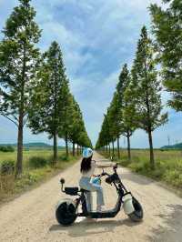 대부도 가면 꼭 타야할 바다향기 테마파크 전동바이크 🏍️