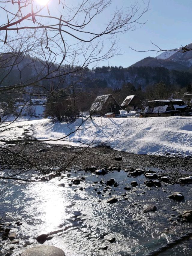 「白川鄉」我們終於來了！