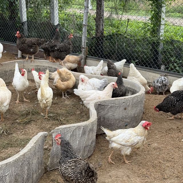 The Life Garden Boutique Farmstay จ.เพชรบุรี