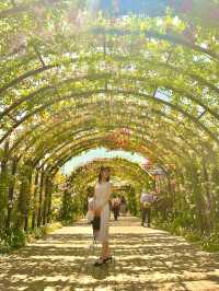 〜神奈川県〜日本で1番綺麗なバラ園🌹English Garden横浜