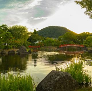 Discover the Hidden Charms of Fukui