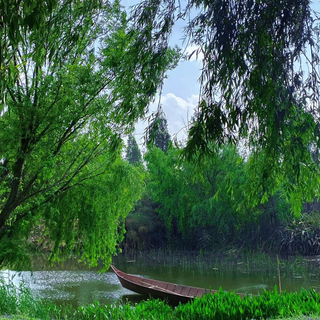 星湖濕地公園：絕佳自然勝地，令人陶醉的樂趣