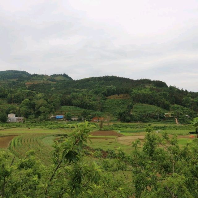 cắm trại khoảnh khắc tuyệt vời!