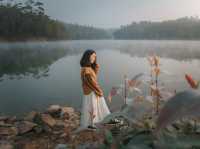 ป่าสนวัดจันทร์ 