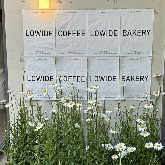 《韓国/ソウルの森》 韓国在住の私のお気に入りカフェ☕️ LOWIDE 