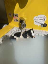 かわいいだけじゃない！下呂温泉の人気フード