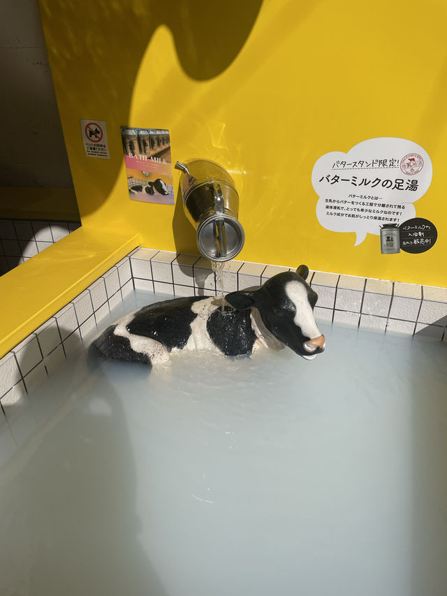 かわいいだけじゃない！下呂温泉の人気フード