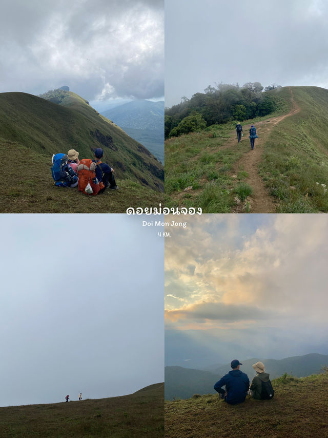 7 เส้นทางเดินป่าสำหรับมือใหม่ ⛰️🌦️🌳🥾