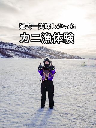 King Crab Safari