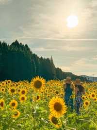 【福井】道中に見つけた、ひまわり畑