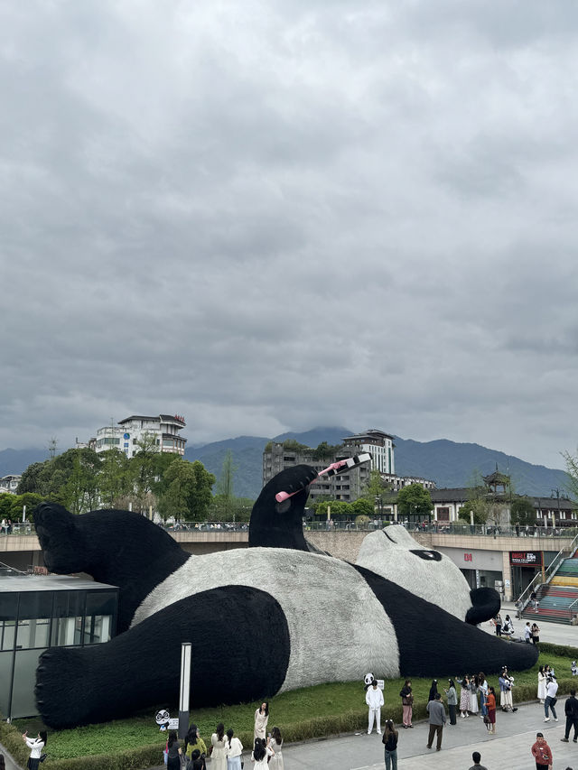 🐼แพนด้าเซลฟี่ เมืองตูเจียงเยี่ยน