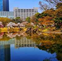 【東京】傳統日式庭園，建議春秋兩季訪問，因為這時候的景色最為壯麗。