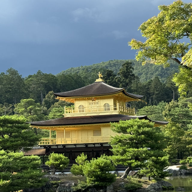 「8月好去處2024」- 大阪美食之旅，居酒屋 首選！