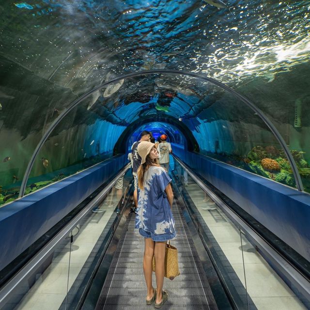 กำเงินคนละ 80 มาสัมผัสโลกใต้น้ำที่บางแสน 🦈