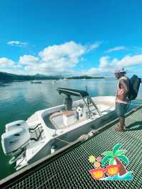 🇲🇺 Whale and Dolphin seascapes at Ile aux Benitiers