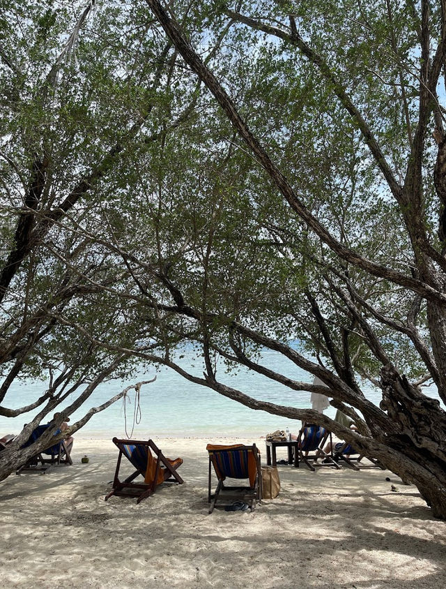  🏝️📍Freedom beach เกาะเต่า