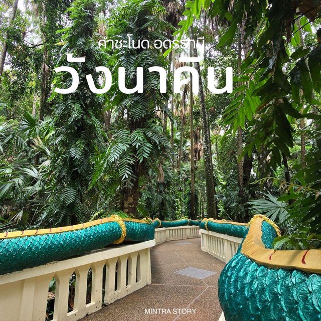 วังนาคิน คำชะโนด พรหมประกายโลก 