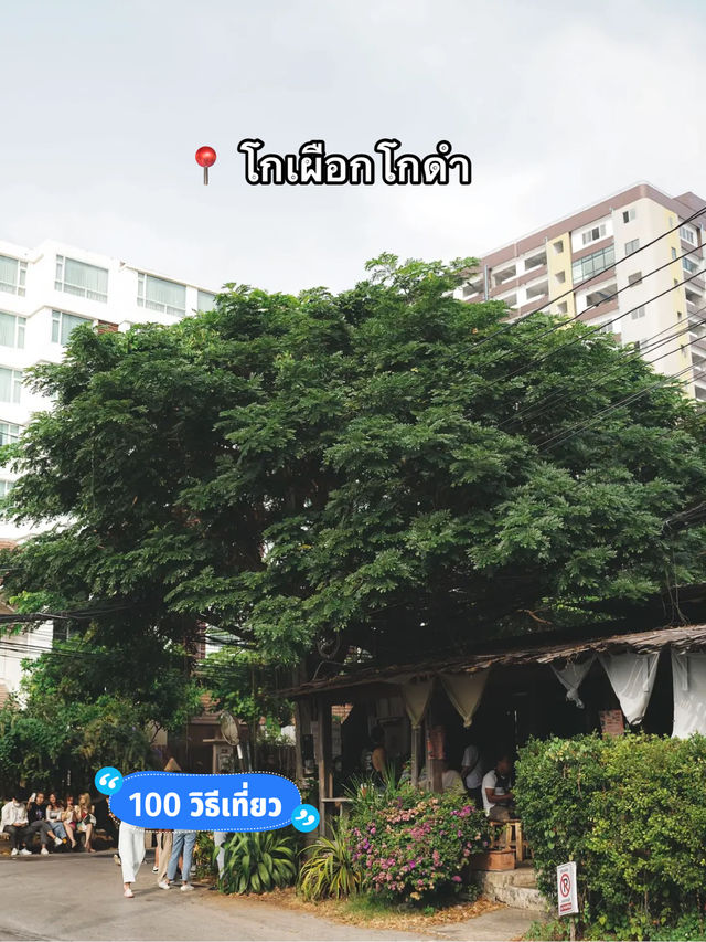 📍 โกเผือกโกดำ 