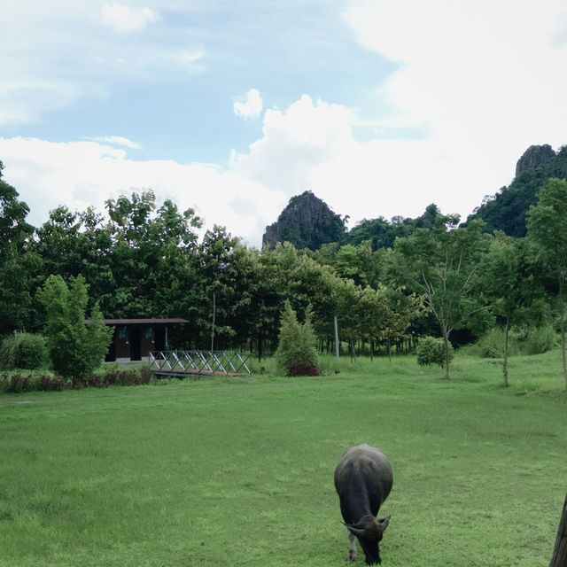 บ้านมุงแคมป์: พักผ่อนในอ้อมกอดขุนเขา