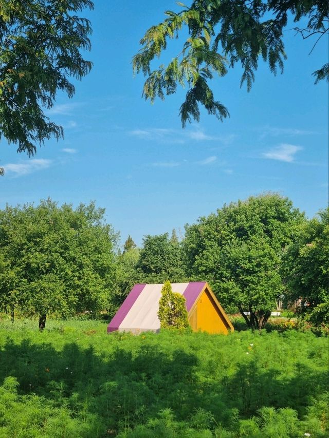 기차타고 도착한 동화속 세상