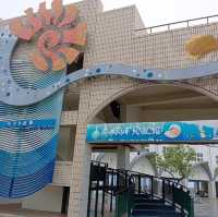 「旗津海岸公園遊客中心」貝殼博物館，增廣見聞