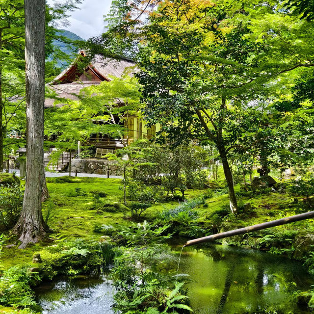 【大阪景點】西之丸庭園：雨中迷人景色～享受日本庭院風情