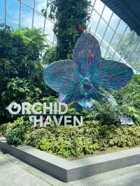 The best place to see beautiful flowers in Singapore
