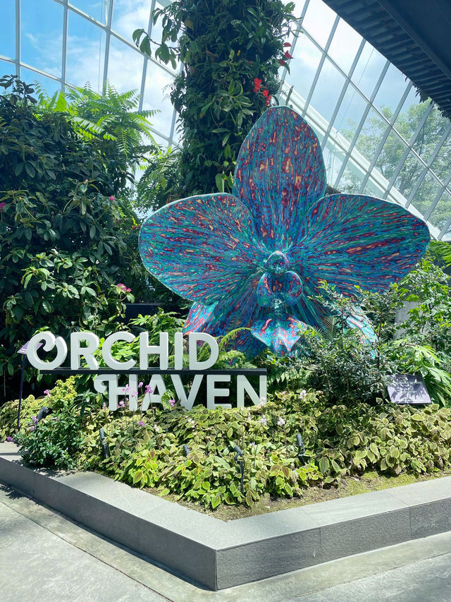 The best place to see beautiful flowers in Singapore